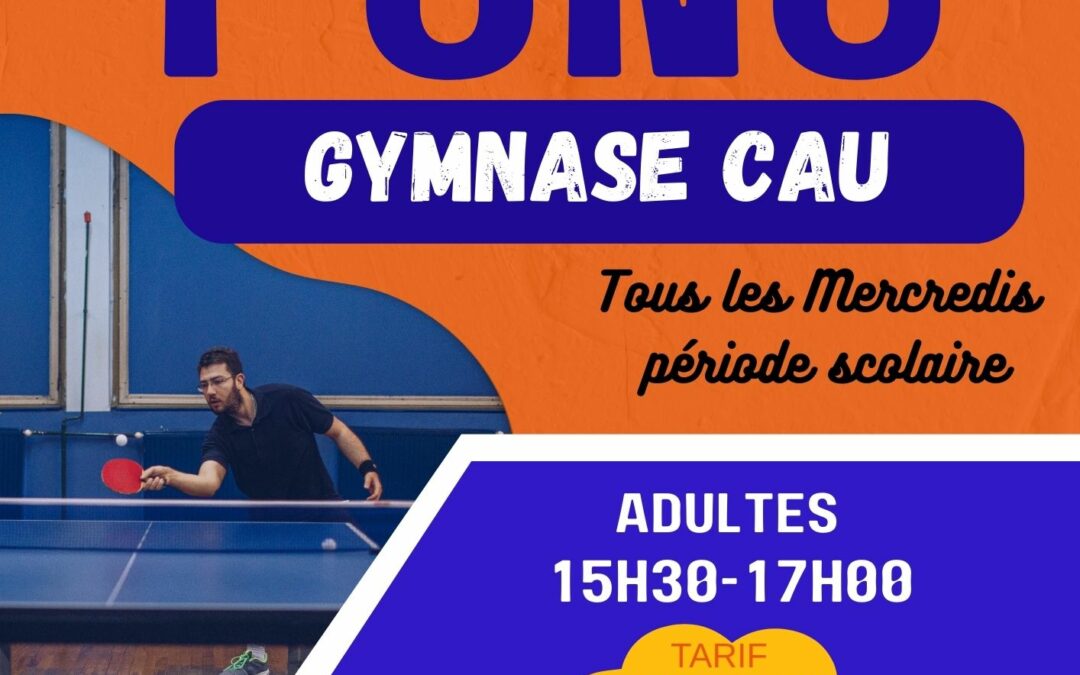 COURS DE TENNIS DE TABLE